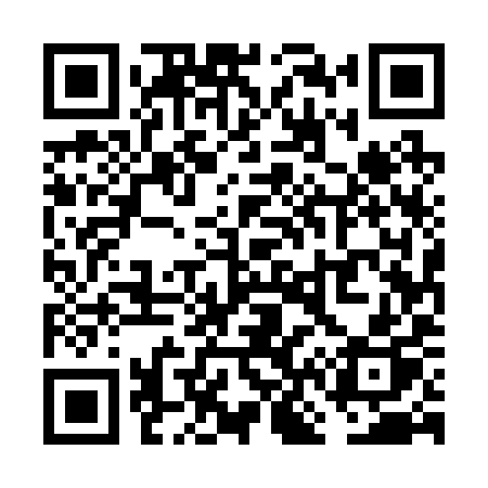 QR code for VN529P