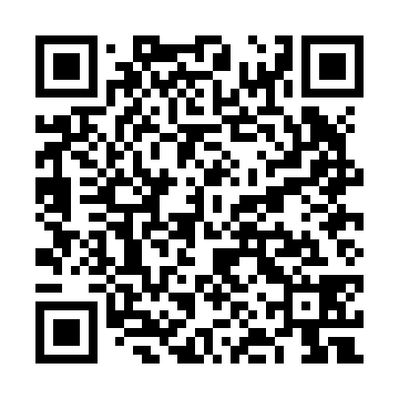 QR code for VNPJ38