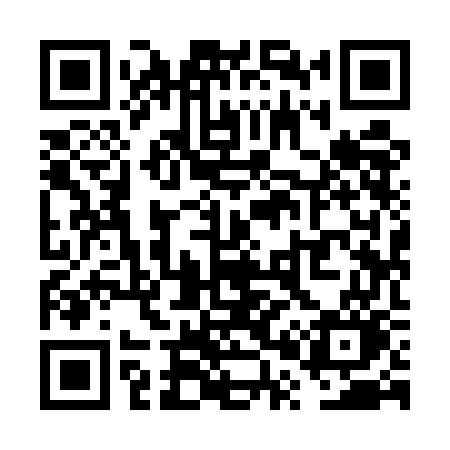 QR code for VP95GO