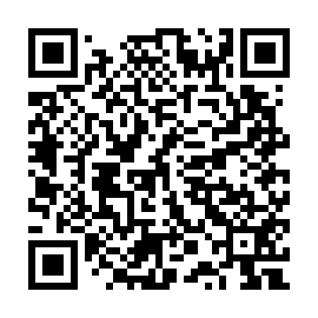 QR code for VPGG51