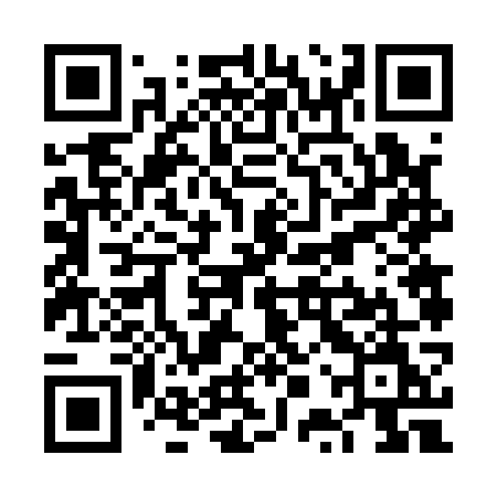 QR code for VPV17M