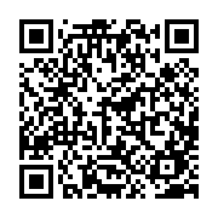 QR code for VS009D
