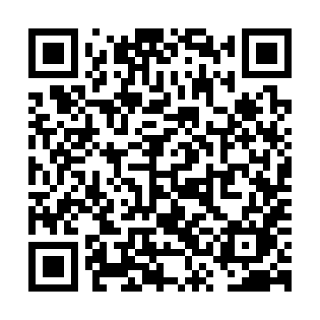 QR code for VSC38M