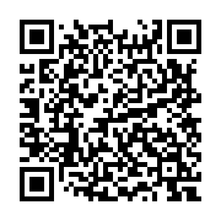 QR code for VT295N
