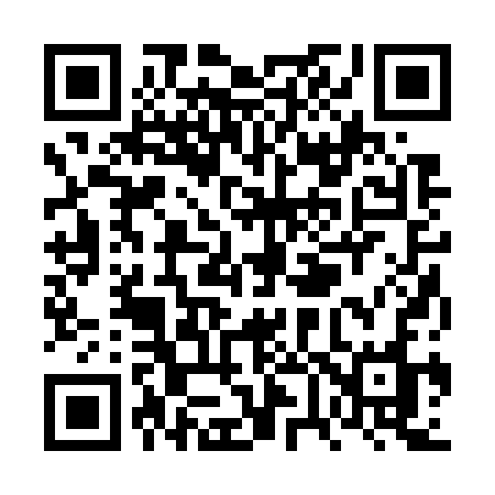 QR code for VV273O