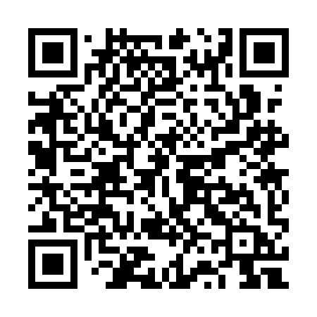 QR code for VV31IB
