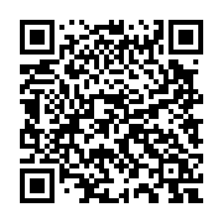 QR code for W0402V
