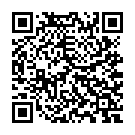 QR code for W17ZLL