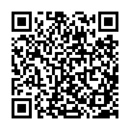 QR code for W207IC