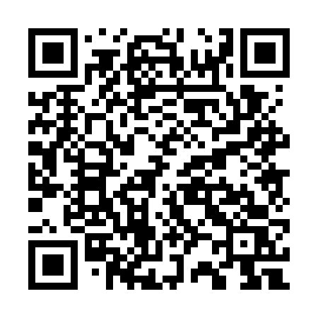 QR code for W207VS