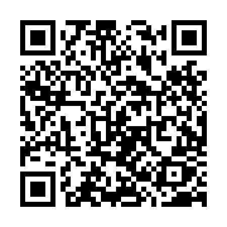 QR code for W20LOZ