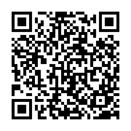 QR code for W291DT