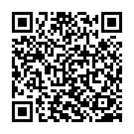 QR code for W2982X