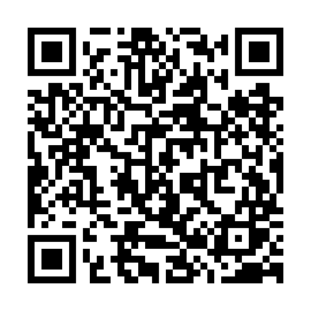 QR code for W29GMS