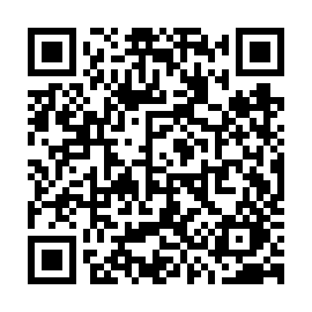 QR code for W31FZO