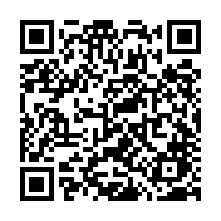 QR code for W46ENN