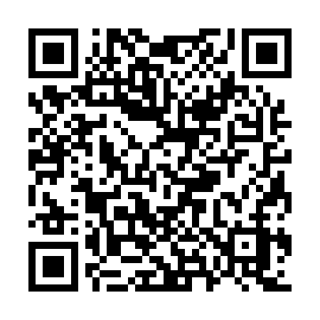 QR code for W8313Z