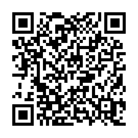QR code for W919SD