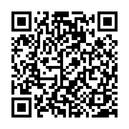 QR code for W9517S