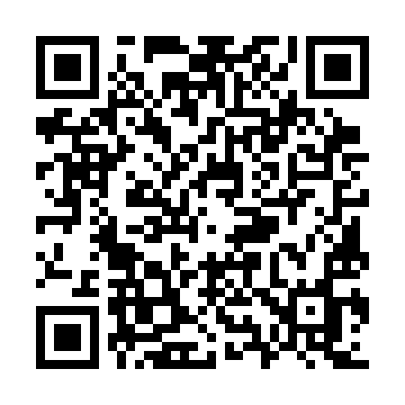 QR code for W953IO
