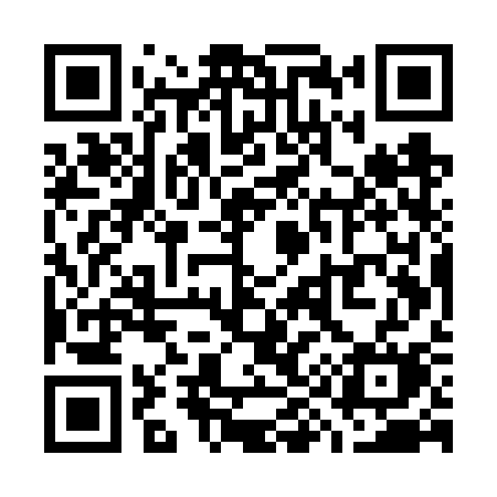 QR code for W95VSM