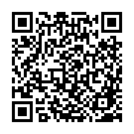 QR code for W993DG