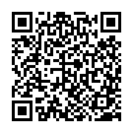 QR code for W994TS
