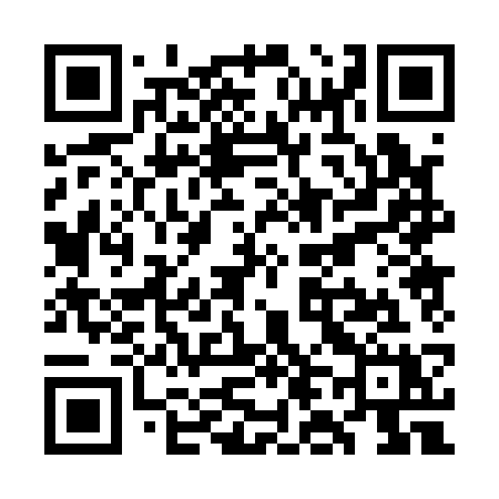 QR code for WL013X