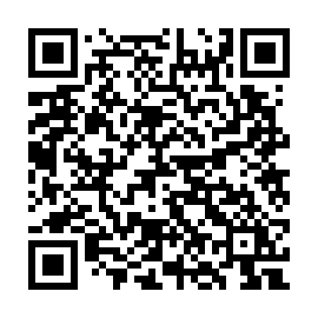 QR code for WO272Y