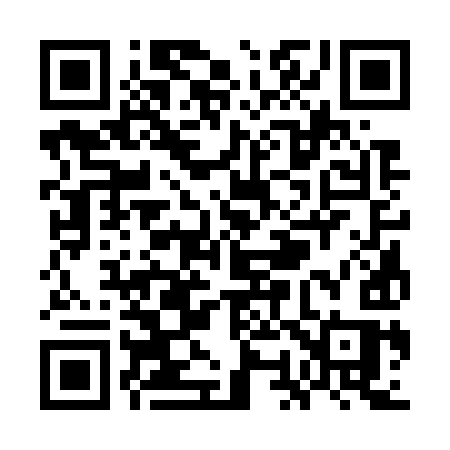QR code for WO379S