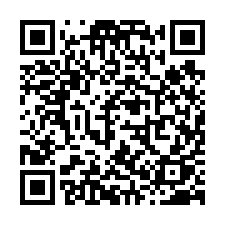 QR code for X0161P