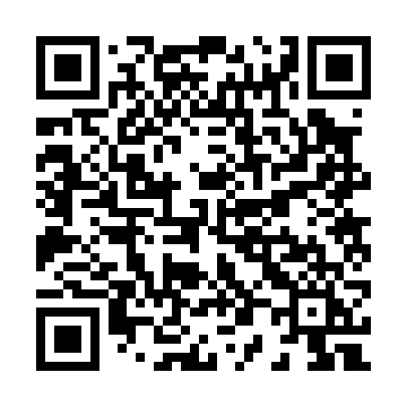QR code for X0206I
