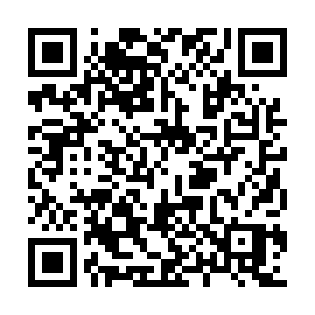 QR code for X0250P