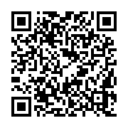 QR code for X029MZ