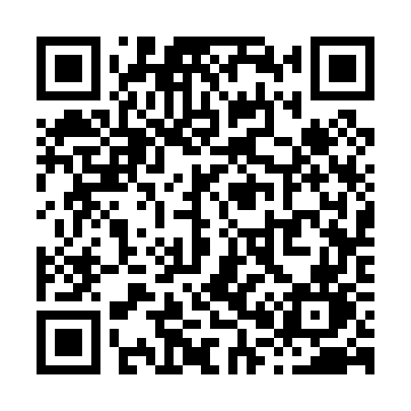 QR code for X0307N