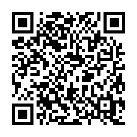 QR code for X0318L