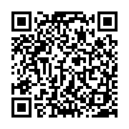 QR code for X0336I