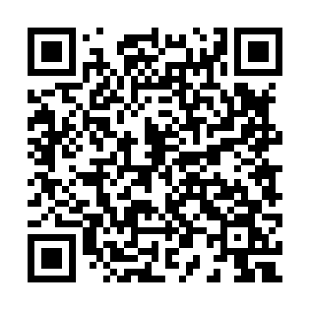 QR code for X0486N