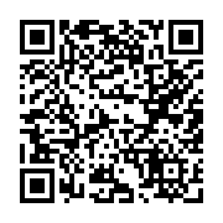 QR code for X0593F