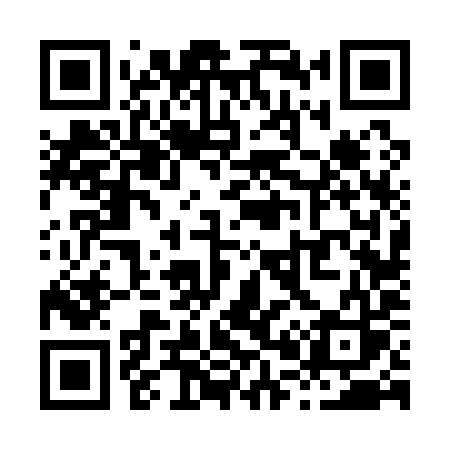 QR code for X0619S