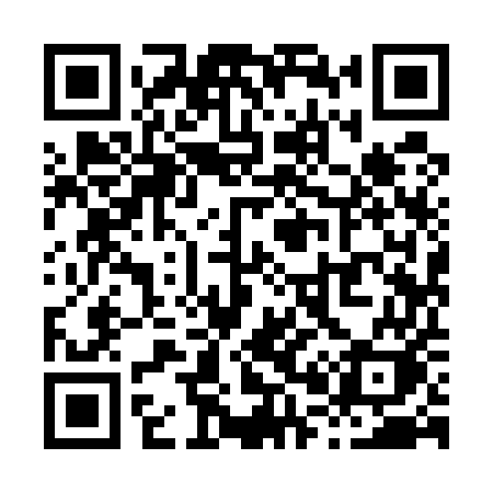 QR code for X0955K