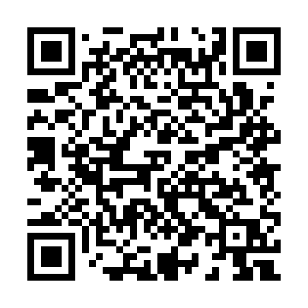 QR code for X101QP