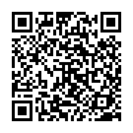 QR code for X110ZI