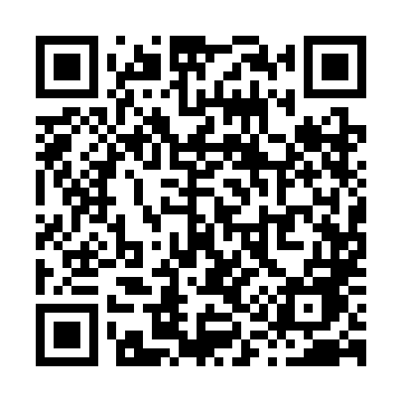 QR code for X113LE