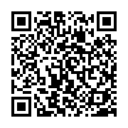 QR code for X1223I