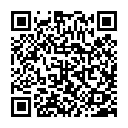 QR code for X1249Y