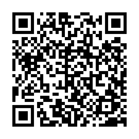 QR code for X125BR