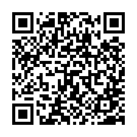 QR code for X175LT