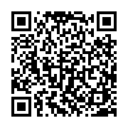 QR code for X203GC