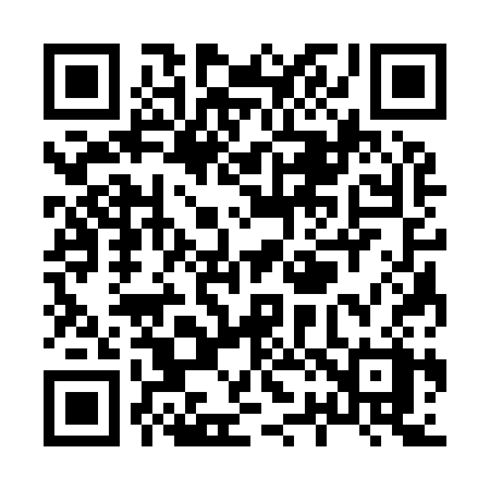 QR code for X2393X